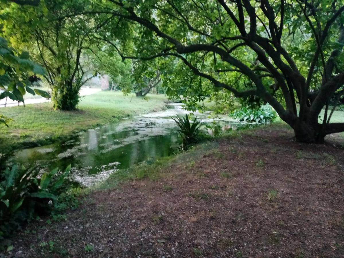 La Bella Ninfa Bed & Breakfast แซร์โมเนตา ภายนอก รูปภาพ